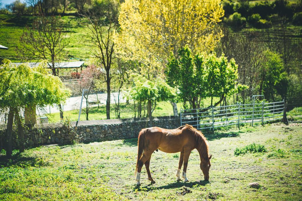 Intrepid Hotel Rural - Adults Only Pi Dış mekan fotoğraf